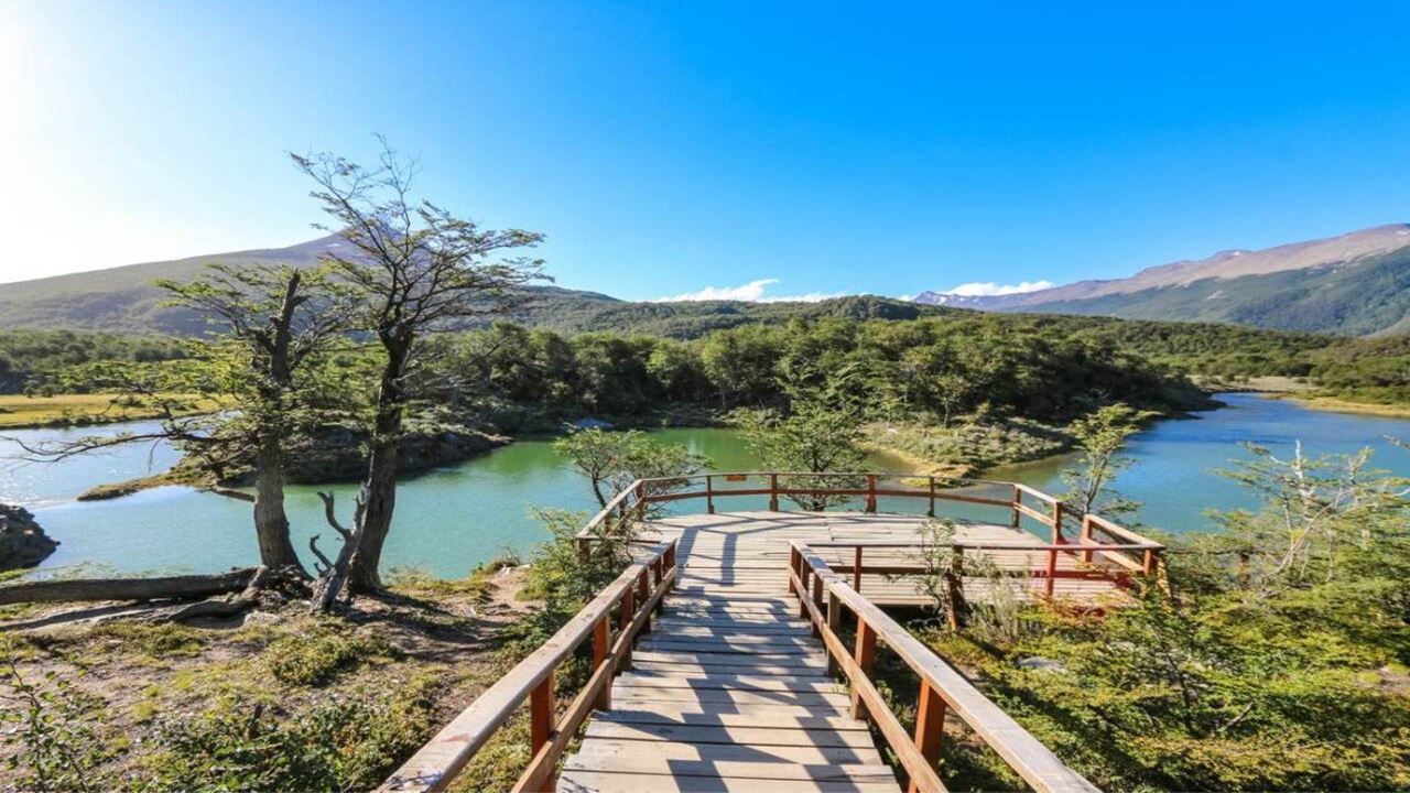 Offre : Transferts Aéroport, Parc National Et Navigation Vers L`île Des Loups Et Des Oiseaux foto 11
