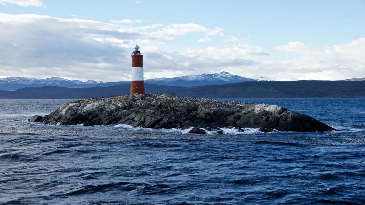 Offre : Transferts Aéroport, Parc National Et Navigation Vers L`île Des Loups Et Des Oiseaux foto 14