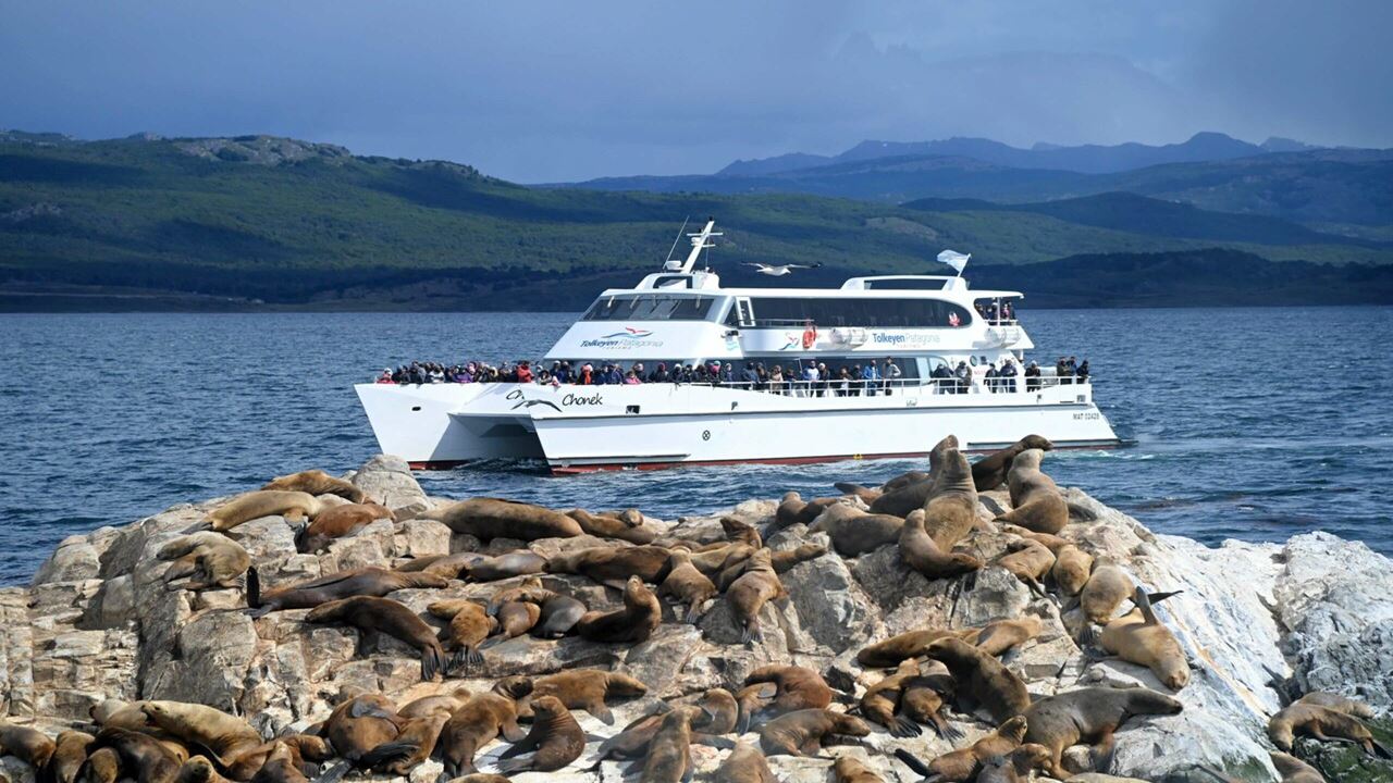 Offre : Transferts Aéroport, Parc National Et Navigation Vers L`île Des Loups Et Des Oiseaux foto 1