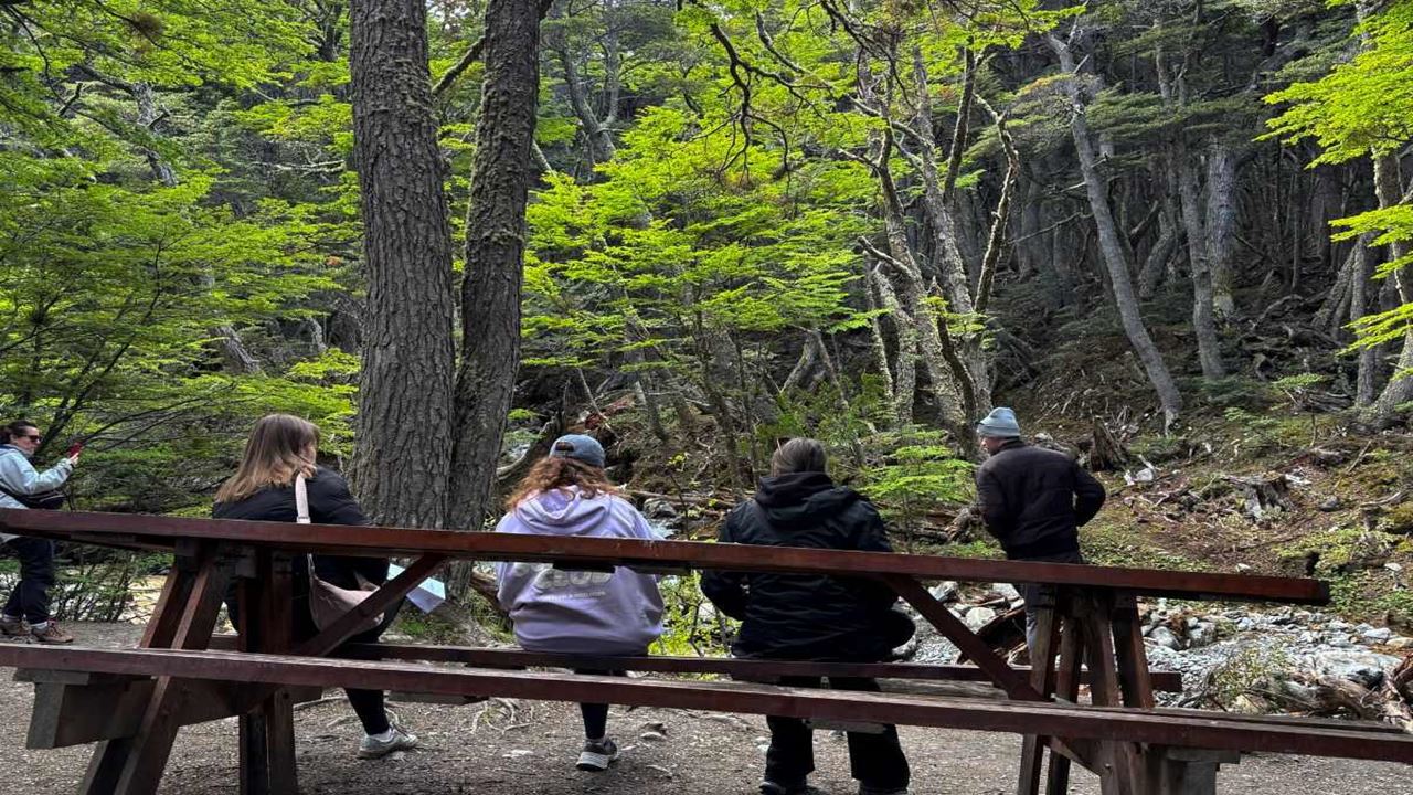 Passeio Pela Cidade: Paisagens E Encantadores foto 7