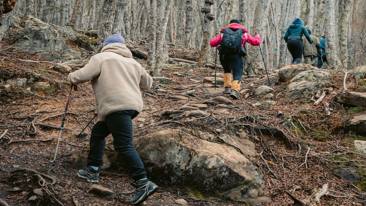 Passeio A Puerto Almanza Com Almoço foto 12