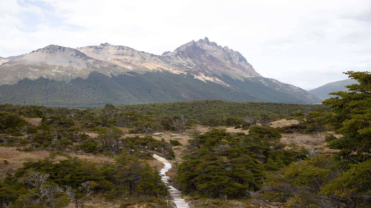 Tour En Bici Eléctrica Cascada Beban foto 8