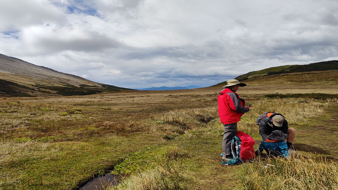 Trekking 360° Cerro Guanaco (9)