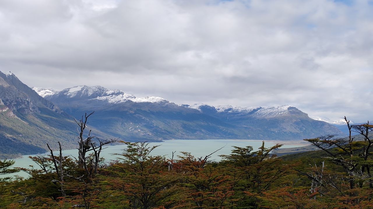 Trekking 360° Cerro Guanaco (11)