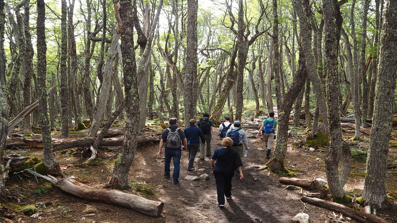 Laguna Esmeralda & Beaver Dams Day Trek foto 3