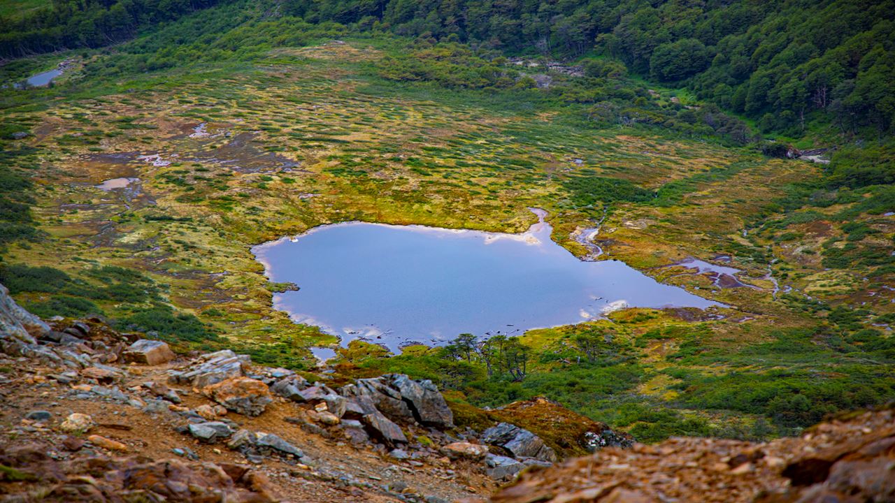 Trekking Andino (3)