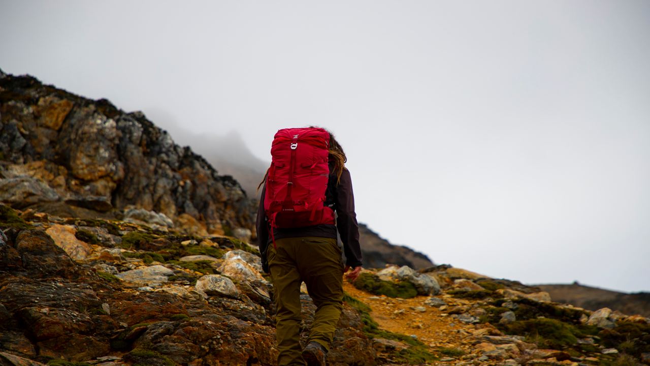 Trilha Andina foto 5