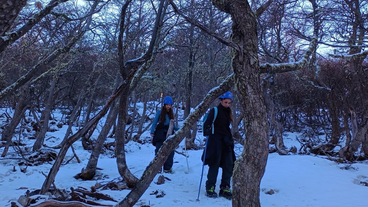 Trekking no Cerro Cortéz: Trilhas e Floresta de Lengas foto 5