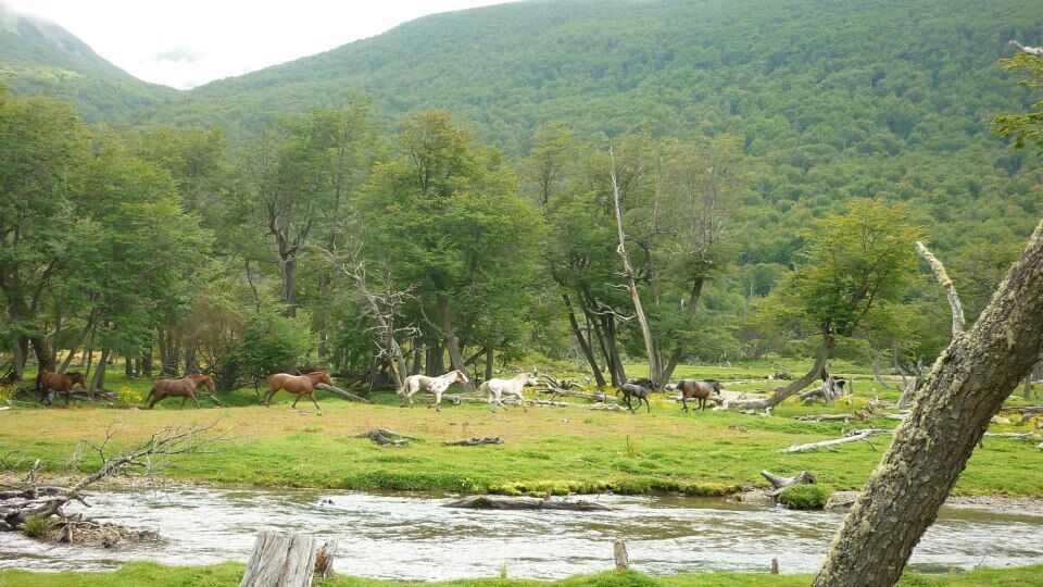 Vinciguerra Glacier Trekking with Ice Lagoon & Andorra Valley foto 5