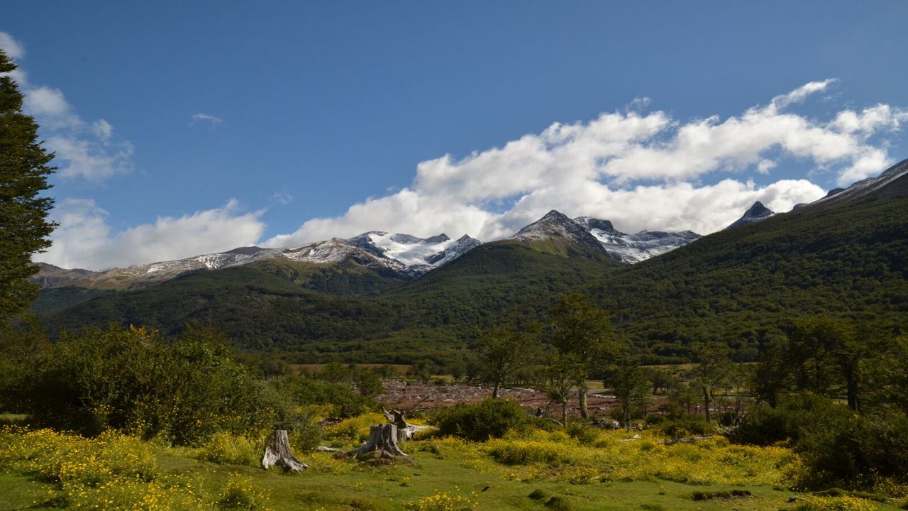 Trekking Glaciar Vinciguerra (2)
