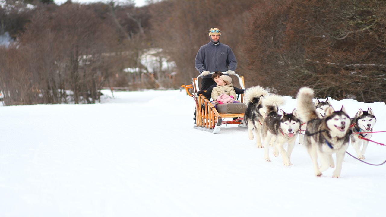 Aventura Branca Com Huskies